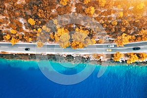 Aerial view of road in beautiful orange forest and blue sea