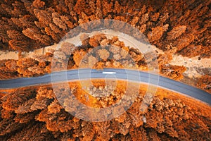 Aerial view of road in beautiful orange forest at sunset. Autumn