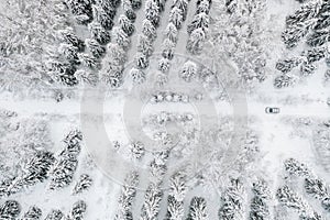 Aerial view of road with car in winter time, car driving in snow forest