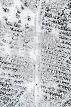 Aerial view of road with car in winter time, car driving in snow forest