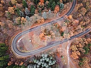 Aerial view of road in colorful forest in autumn