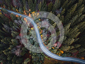 Aerial view of road in colorful forest in autumn.Top viewof mountain road