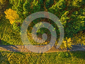 Aerial view of road in colorful forest at sunset in autumn. Top view from drone of mountain road in woods. Beautiful landscape