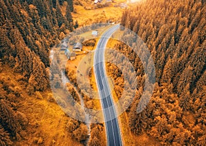 Aerial view of road in colorful orange forest at sunset in autumn