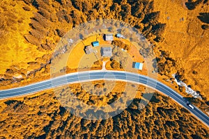 Aerial view of road in colorful orange forest at sunset in autumn