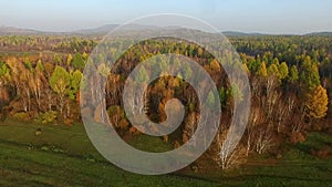 Aerial View Road In The Coniferous Forest On Lake Baikal, Buryatia, Russia