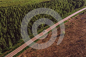 Aerial view of road between cottonwood forest and deforested area