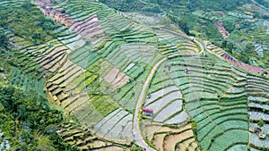 Aerial view of road in Dieng farmland