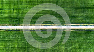 Aerial view at the road and field. Agricultural landscape from air. Field and road. Farm at summer time. Drone photography