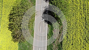 Aerial view of road between fields