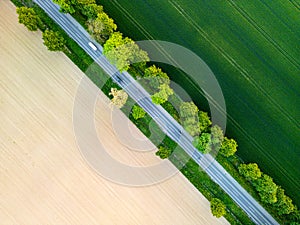 Aerial view of road through fields, one side lush grass, other side prepared for sowing. Drone shot captures rural landscape photo