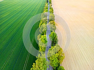 Aerial view of road through fields, one side lush grass, other side prepared for sowing. Drone shot captures rural landscape