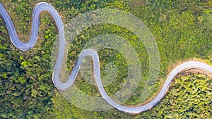 Aerial view of a road in the forest