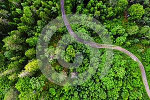 Aerial view of the road through the forest