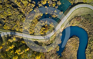 Aerial view of road in forest.