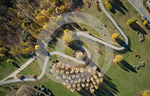 Aerial view of road in forest.