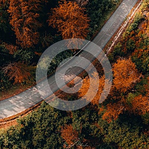 Aerial view of a road in a forest with colorful trees in autumn