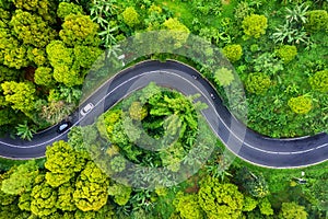 Aerial view on road in the forest. Highway throu the forest. View from a drone. Natural landscape in summer time from air.