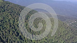 Aerial view of the road in the forest of the mountains