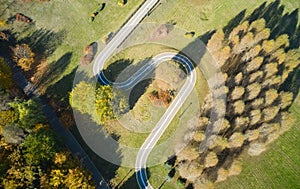 Aerial view of road in forest. Top view.