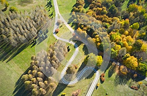 Aerial view of road in forest. Top view.