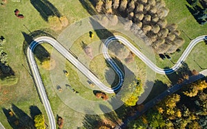 Aerial view of road in forest. Top view.