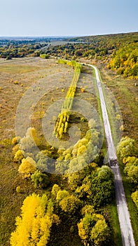 Aerial view on road forest tree environment forest nature background