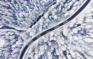 Aerial view on the road and forest at the winter time. Natural winter landscape from air. Forest under snow a the winter time.