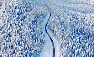 Aerial view on the road and forest at the winter time. Natural winter landscape from air. Forest under snow a the winter time.