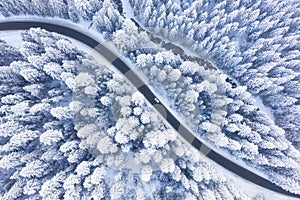 Aerial view on the road and forest at the winter time. Natural winter landscape from air. Forest under snow a the winter time.