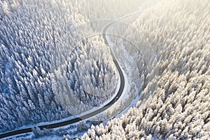 Aerial view on the road and forest at the winter time. Natural winter landscape from air. Forest under snow a the winter time.