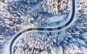 Aerial view on the road and forest at the winter time. Natural winter landscape from air. Forest under snow a the winter time.