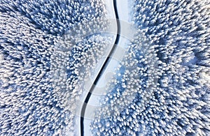 Aerial view on the road and forest at the winter time. Natural winter landscape from air. Forest under snow a the winter time.