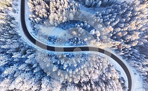 Aerial view on road and forest at the winter time. Natural winter landscape from drone