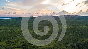 Aerial view of road between forests