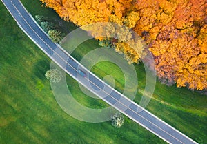 Aerial view of road through green field and forest at sunset