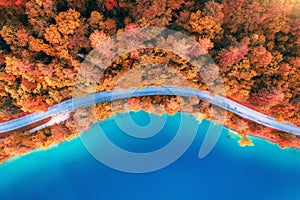 Aerial view of road near blue lake, red forest in autumn