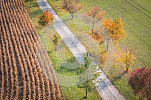 Aerial view of road with trees on a sunny day in autumn. Bohemian scenery with agriculture fields on its sides.