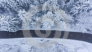 Aerial view of road through a winter forest.