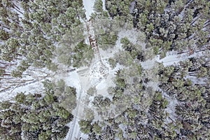 Aerial view of road in winter forest. snowy forest landscape