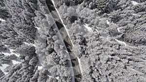 Aerial view of a road in winter. Snow covered fir forest. Aerial drone view of a winter landscape