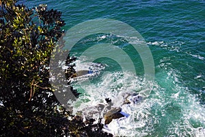 Aerial view of rocky seashore at Port Macquarie Australia