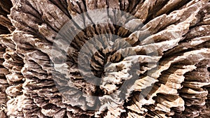 Aerial view on rocky spikes of salt mine in the middle of amazon jungle.