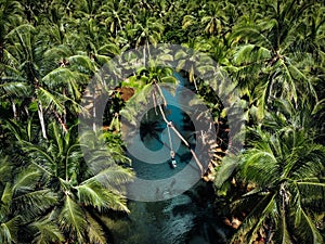 Aerial View of Rope Swing in Siargao Island - The Philippines