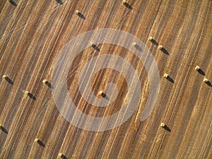 Aerial view of round bales of straw on the field after harvest as background