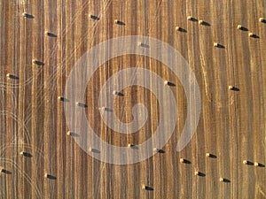 Aerial view of round bales of straw on the field after harvest. Top view