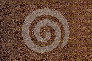 Aerial view of rows of soil of field before planting.Furrows row pattern in a plowed field prepared for planting crops