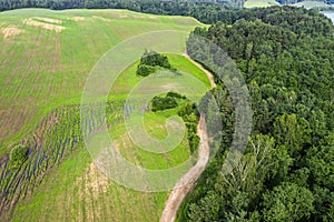 Aerial view of rural area with green fields, forest and dirt road in sunny summer day
