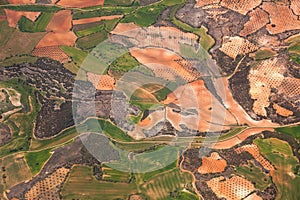 Aerial view of rural area / green fields and olive plantations /