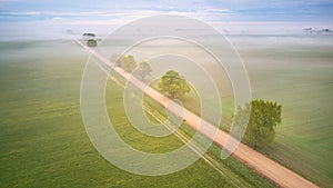 Aerial view of rural dirt road and trees covered by fog. Early misty morning. Spring summer fields. Rainy overcast moody weather